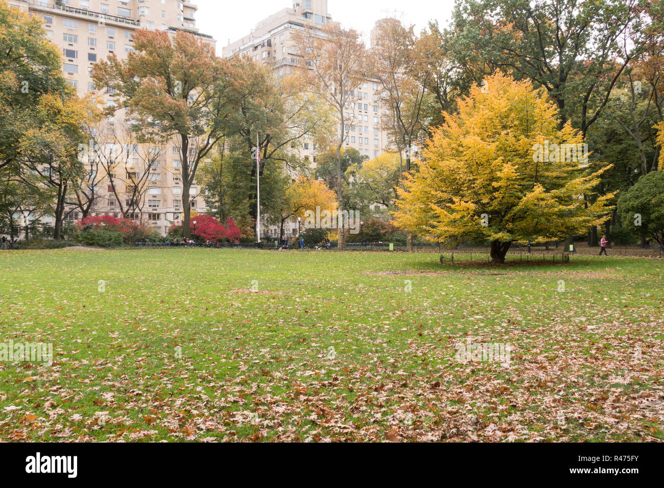 Central Park is a Public Oasis in New York City, USA Stock Photo