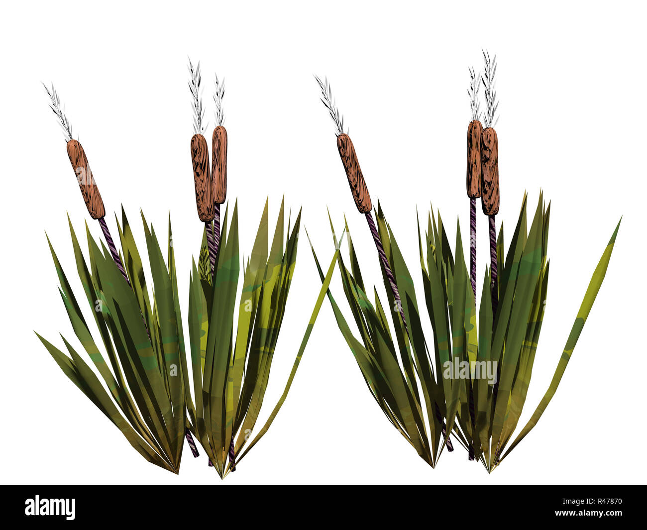 Bank plants Cut Out Stock Images & Pictures - Alamy