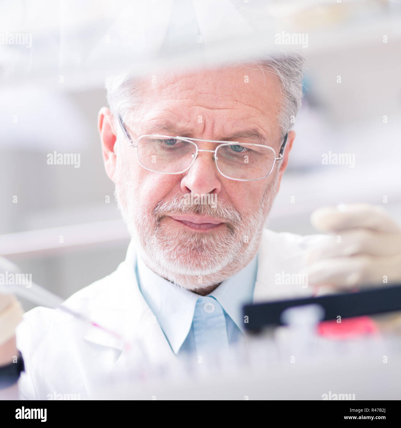 Life scientist researching in the laboratory Stock Photo Alamy