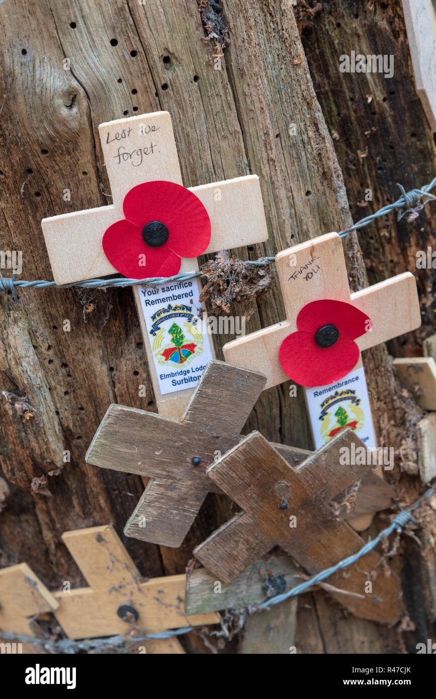 Remembrance crosses attached to original shell-blasted tree stump in Sanctuary Wood, Ypres Salient Stock Photo