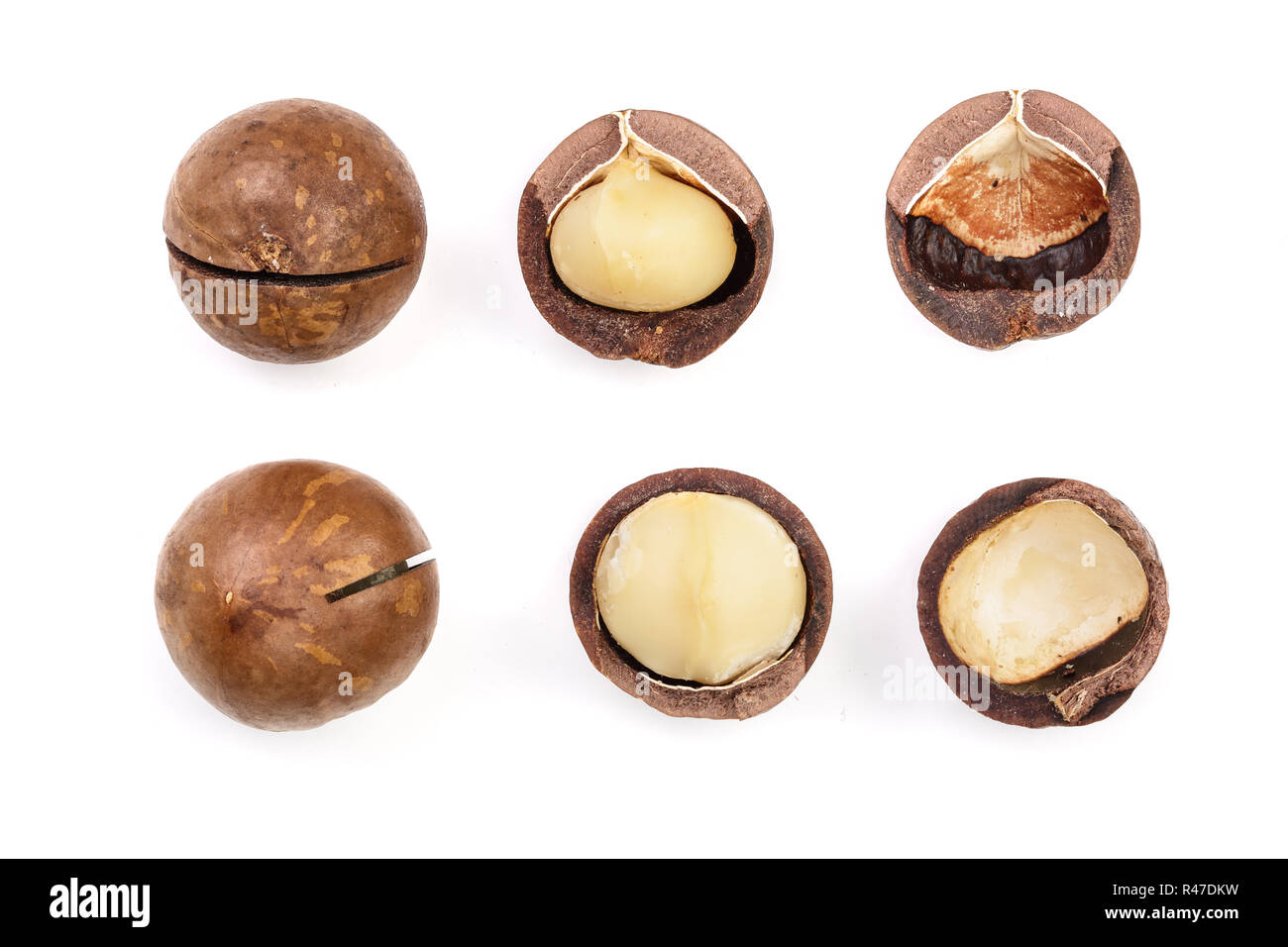 Shelled and unshelled macadamia nuts isolated on white background. Top ...