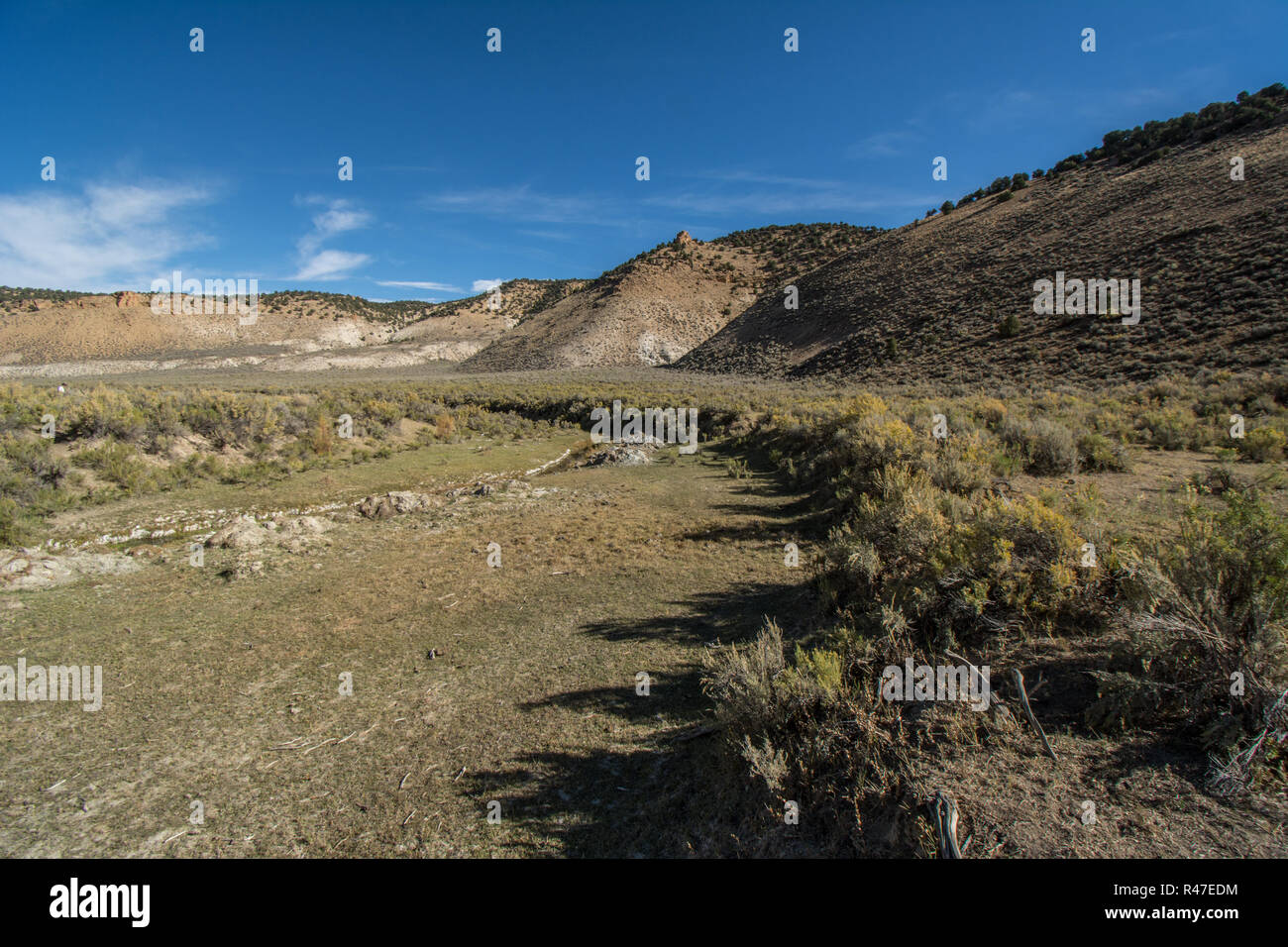 Big sagebrush shrubland hires stock photography and images Alamy