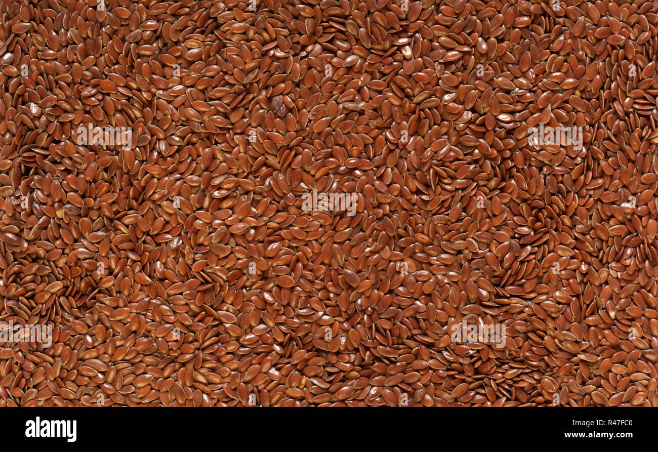 linseed Stock Photo