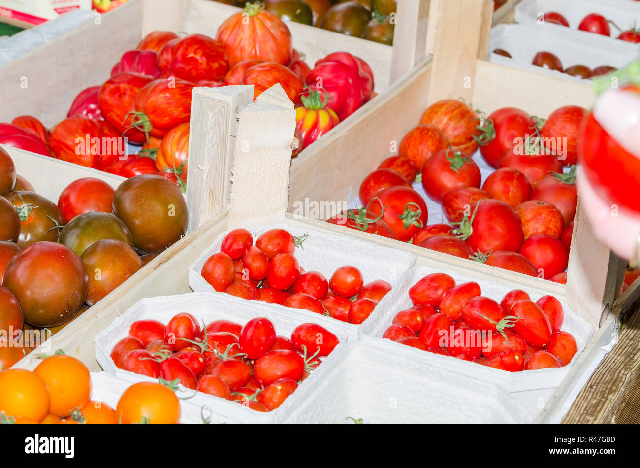 various types of tomatoes. Stock Photo