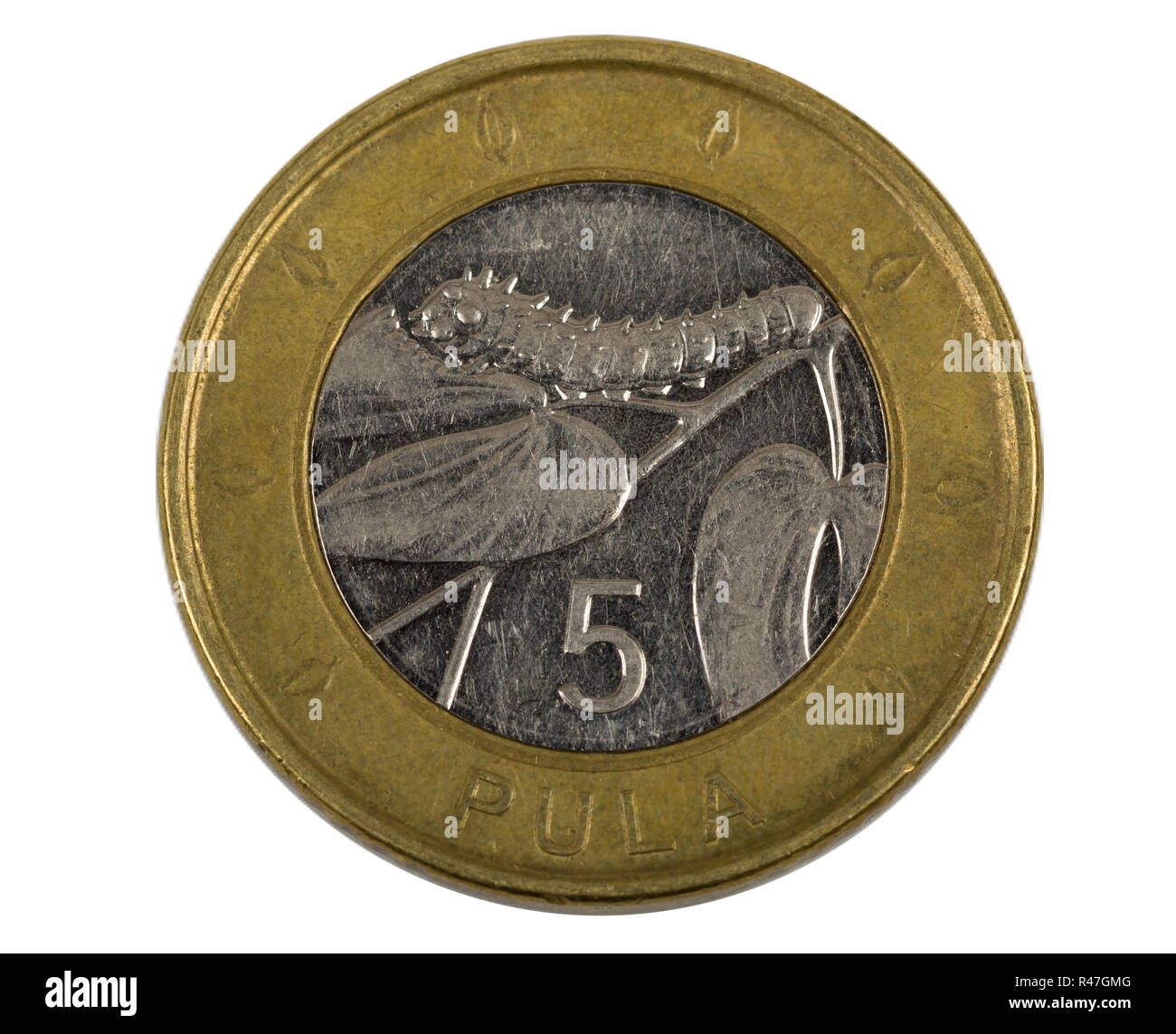 Detail Of Botswana Pula Coin Stock Photo Alamy detail-of-botswana-pula-coin-stock-photo-alamy