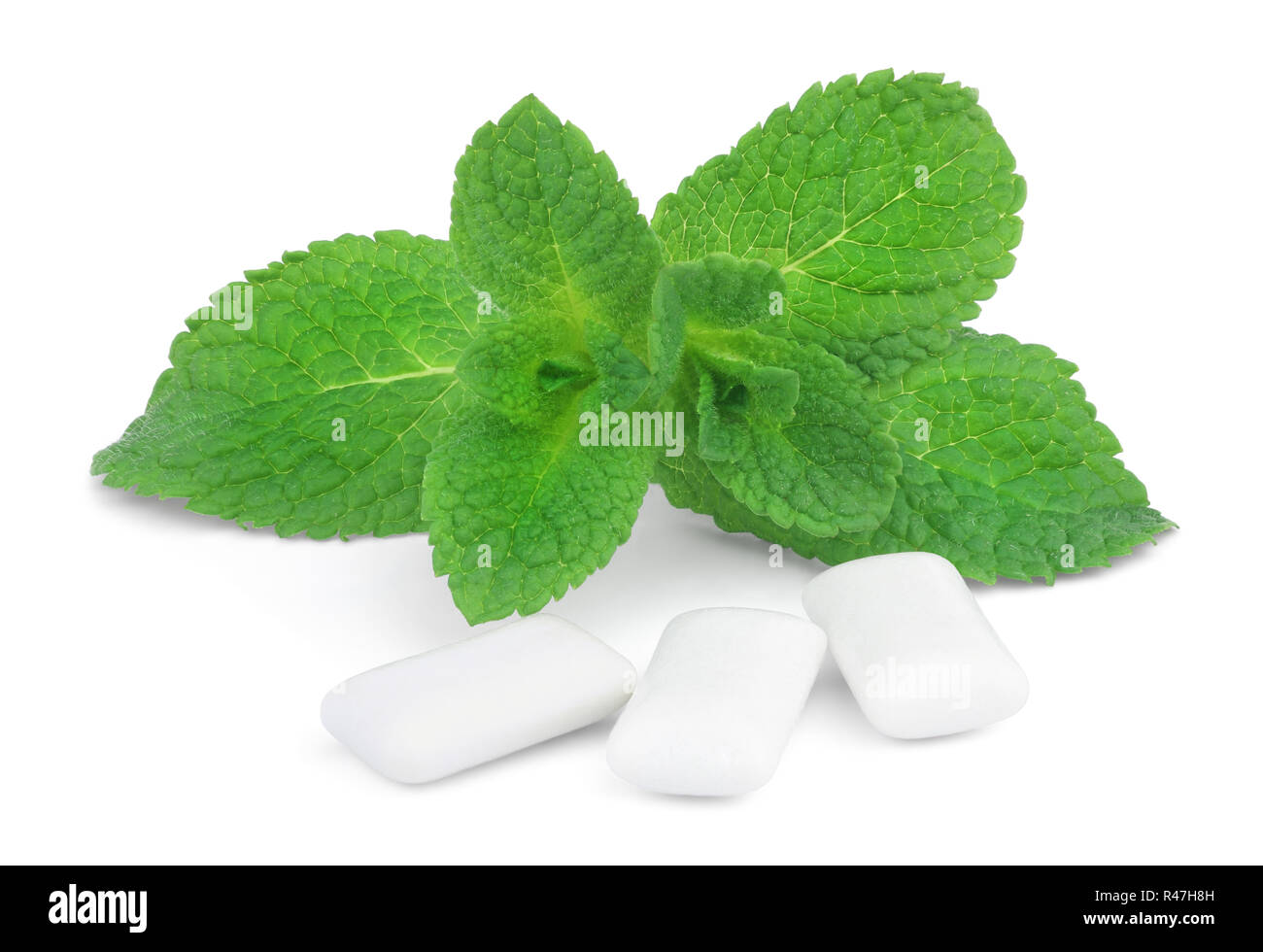 This is a sprig of mint and three pads of chewing gum isolated on white background. Stock Photo