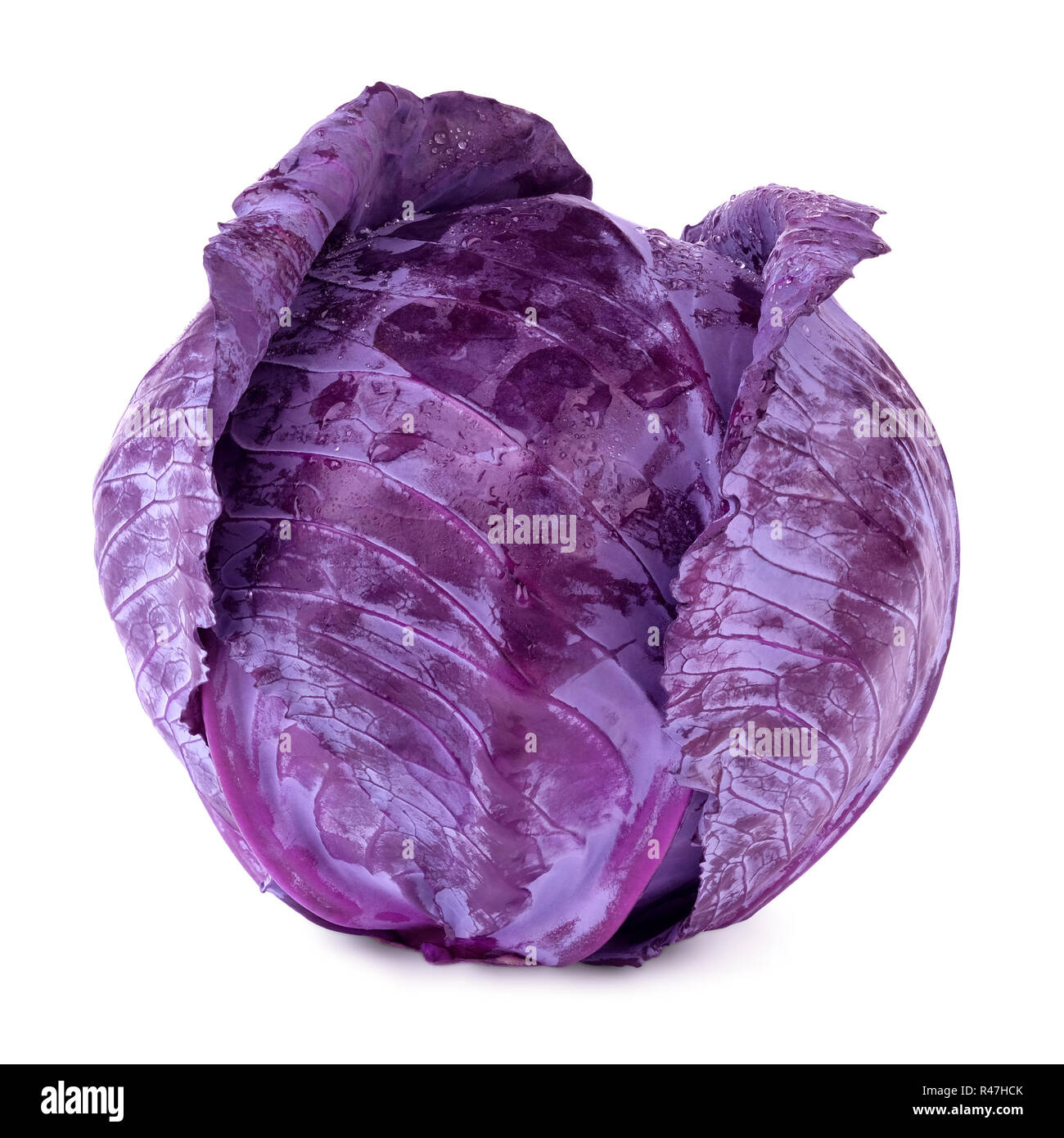 A Whole Head Of Red Cabbage With Water Drops On Leaves Isolated On A White Background Stock Photo Alamy,Thai Food Meme