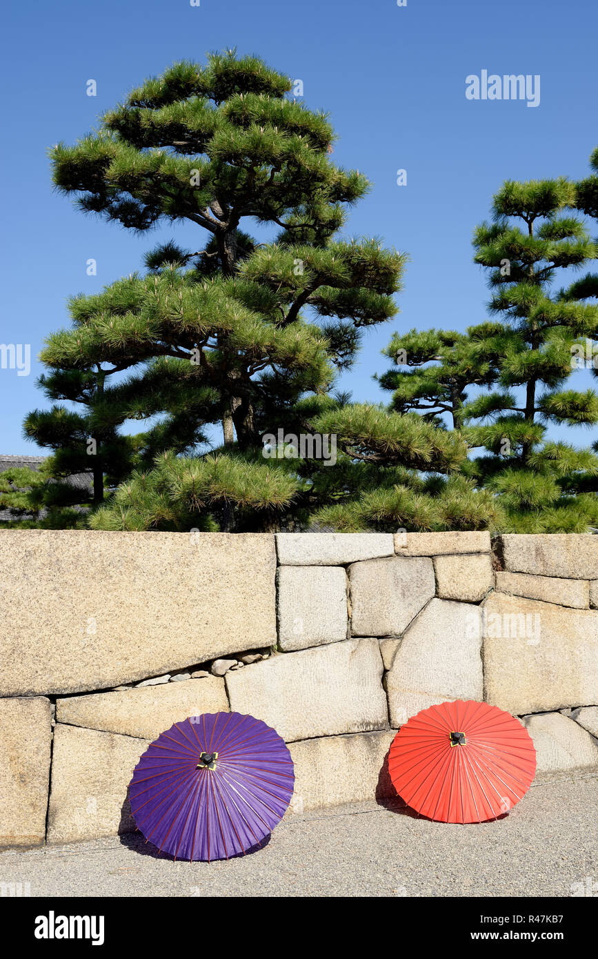 Japanese garden with pine trees and umbrella Stock Photo