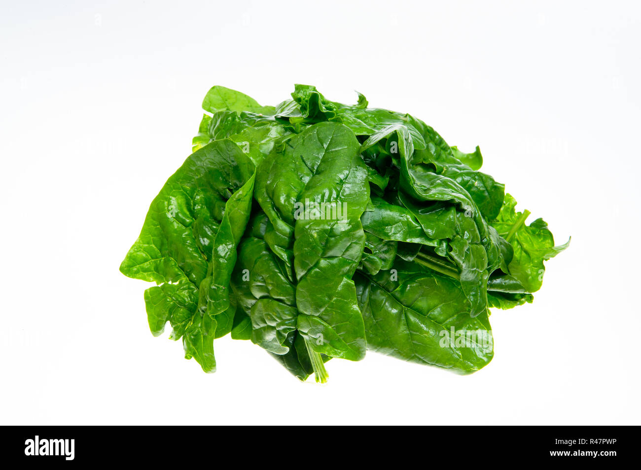 Grown apart hi-res stock photography and images - Alamy
