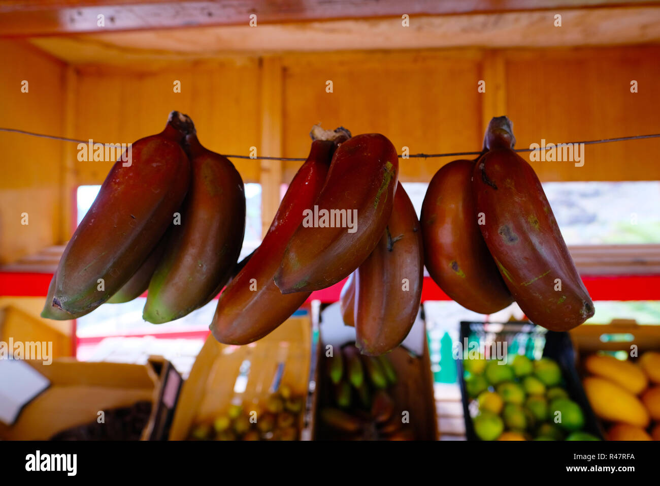 Fresh local bananas for sale in a small market on Gran Canaria Stock Photo