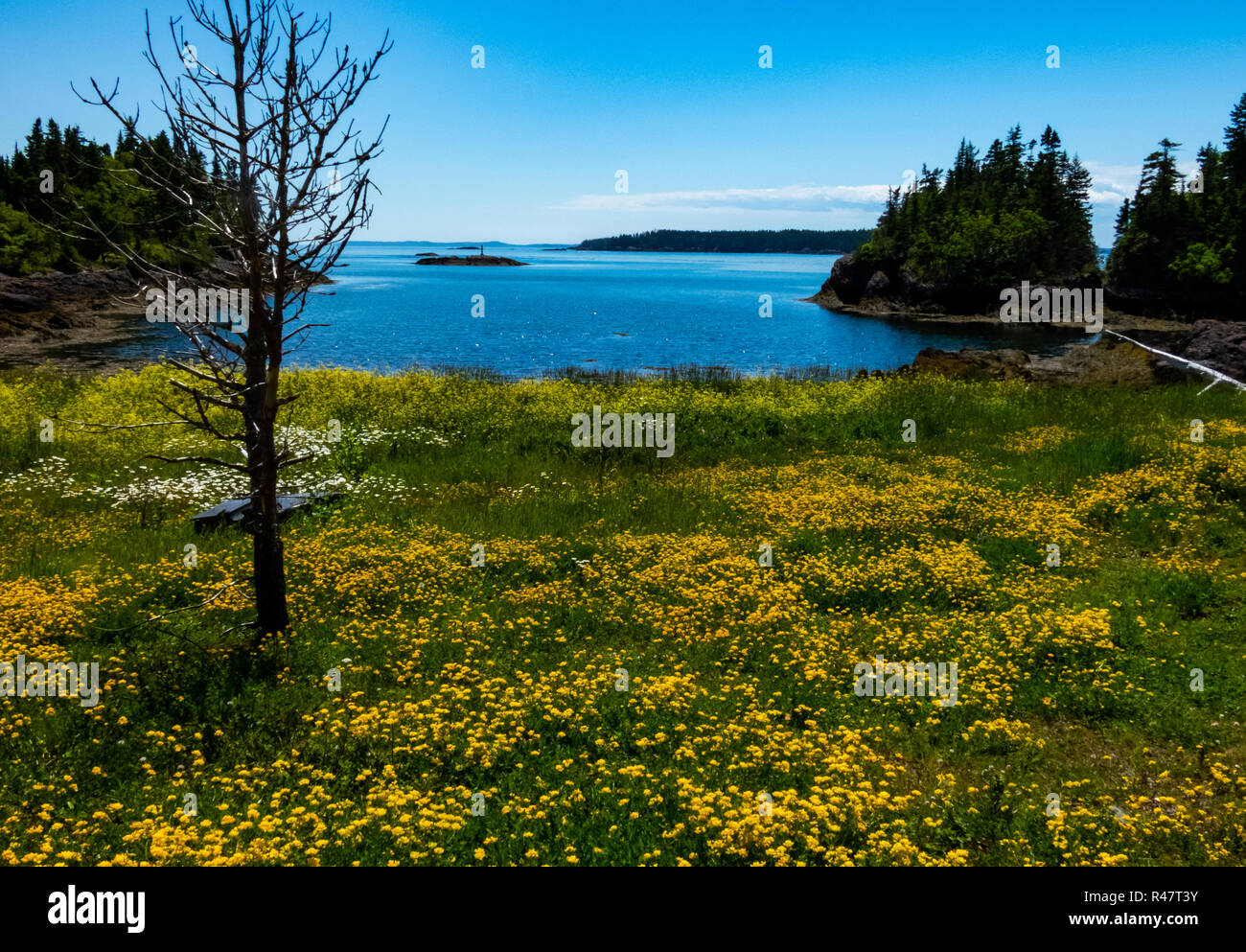 Blacks Harbour, New Brunswick, Canada Stock Photo