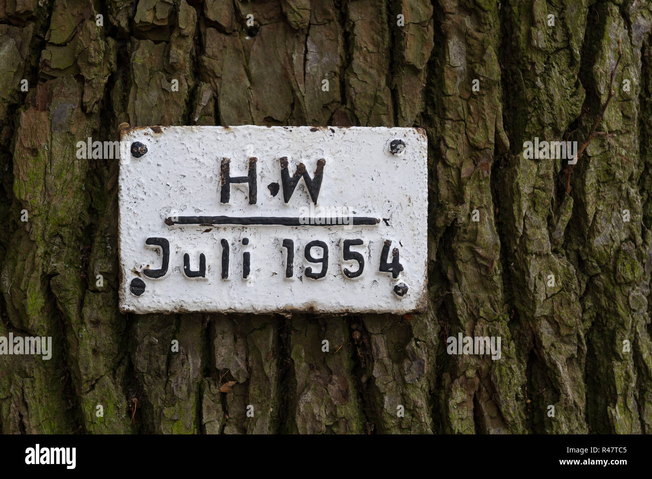 freiberger mulde high water mark in 1954 Stock Photo