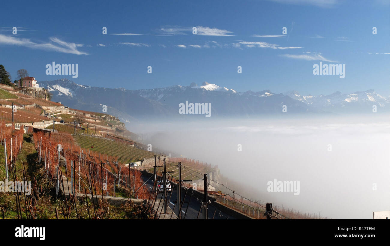 fog over the lac leman Stock Photo