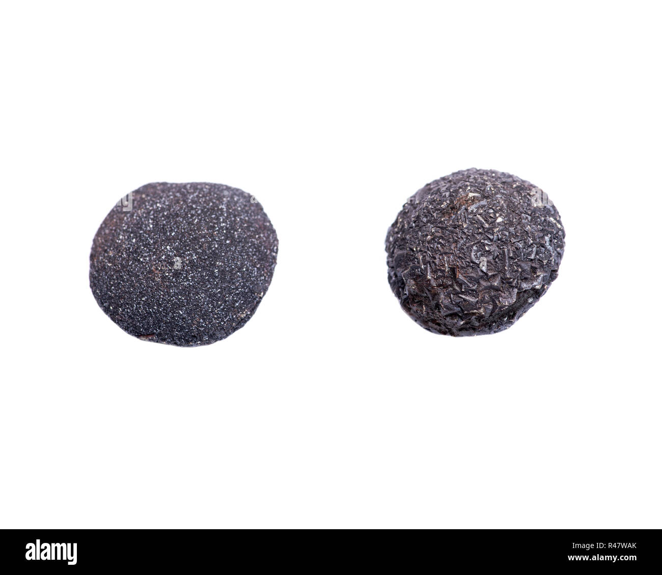 Set of concretion stones from southwest Kansas, USA. Kansas Pop Rocks ...