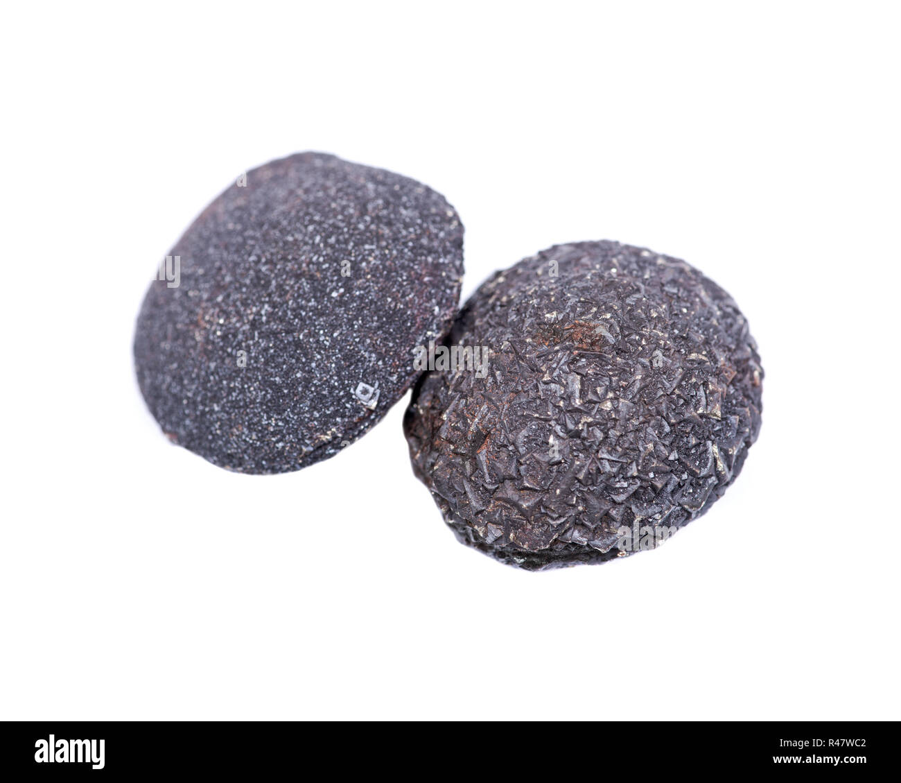 Set of concretion stones from southwest Kansas, USA. Kansas Pop Rocks ...