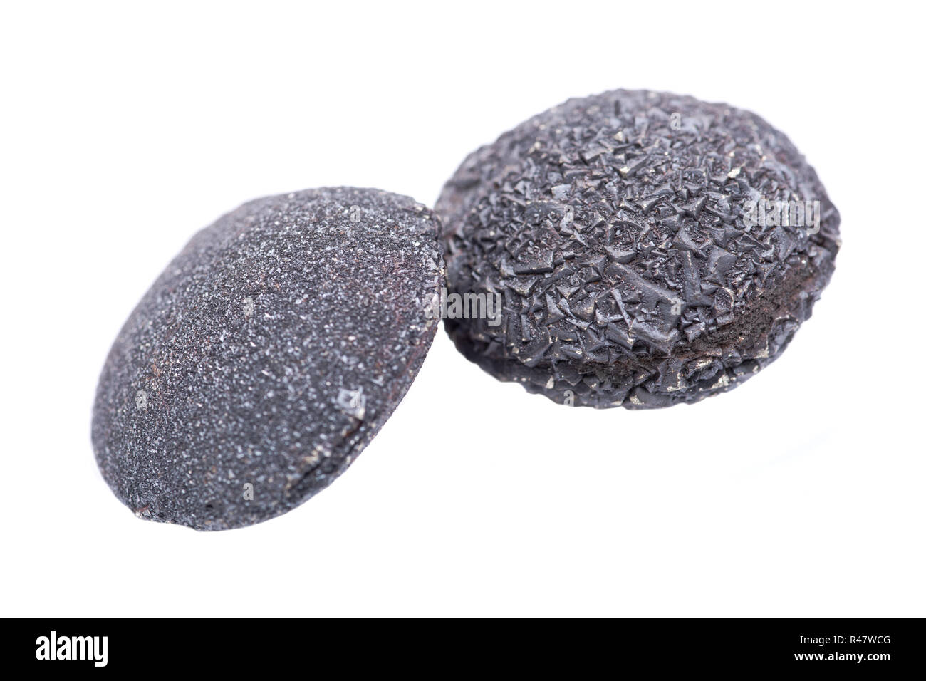 Set of concretion stones from southwest Kansas, USA. Kansas Pop Rocks ...