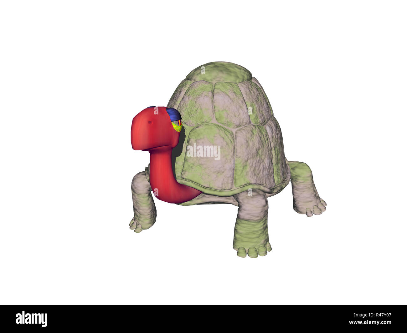 Turtle claws hi-res stock photography and images - Alamy