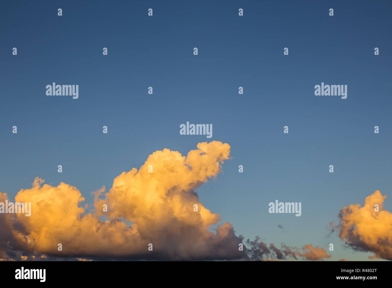Golden clouds bathed by the sunset, in a beautiful blue sky Stock Photo ...
