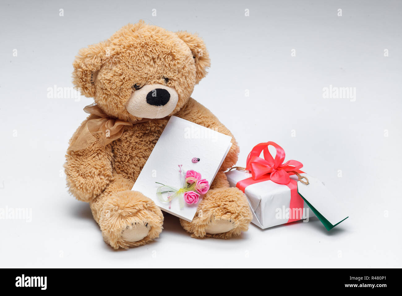 Message to bears hi-res stock photography and images - Page 4 - Alamy