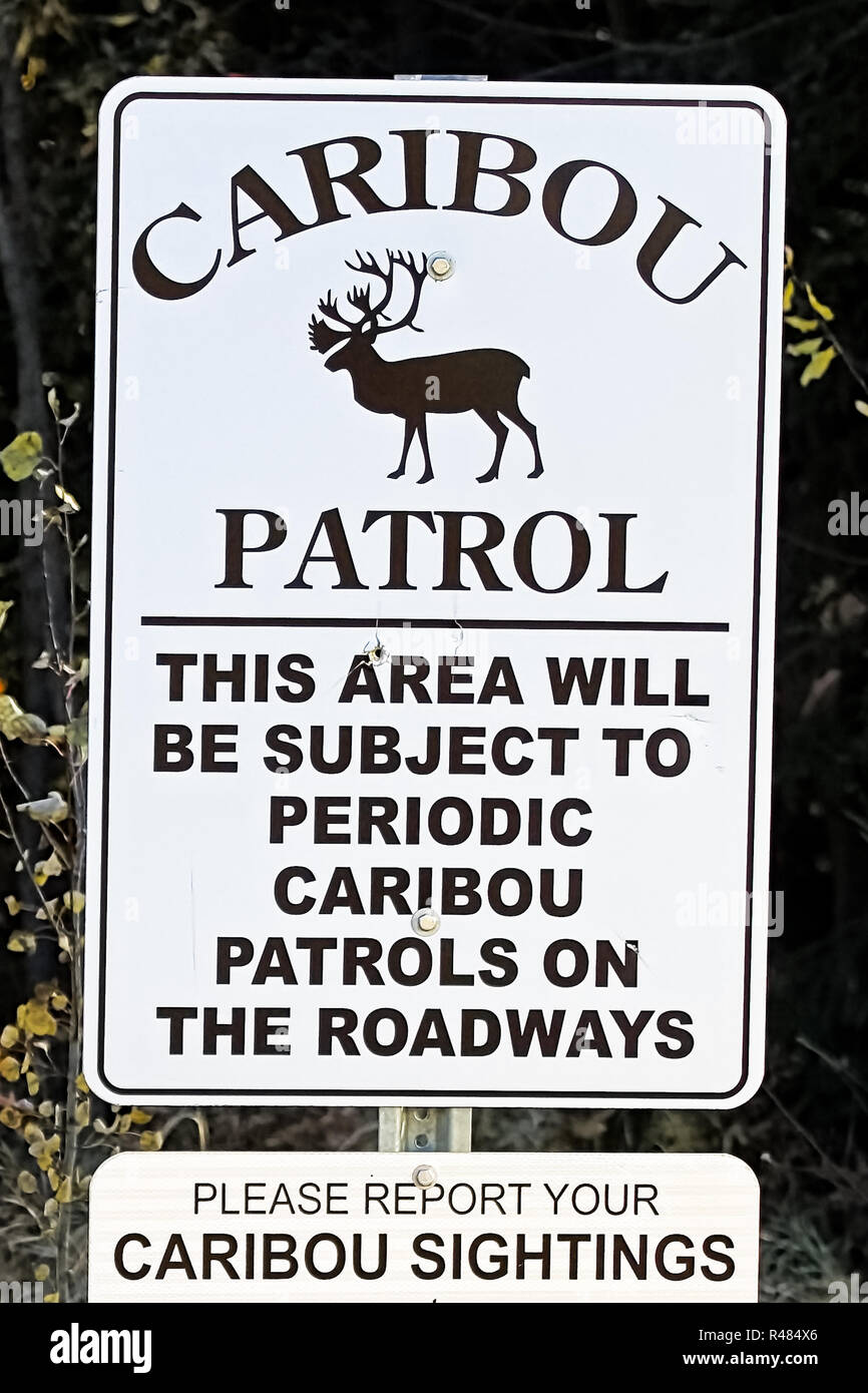 A caribou patrol sign indicating to report sightings Stock Photo