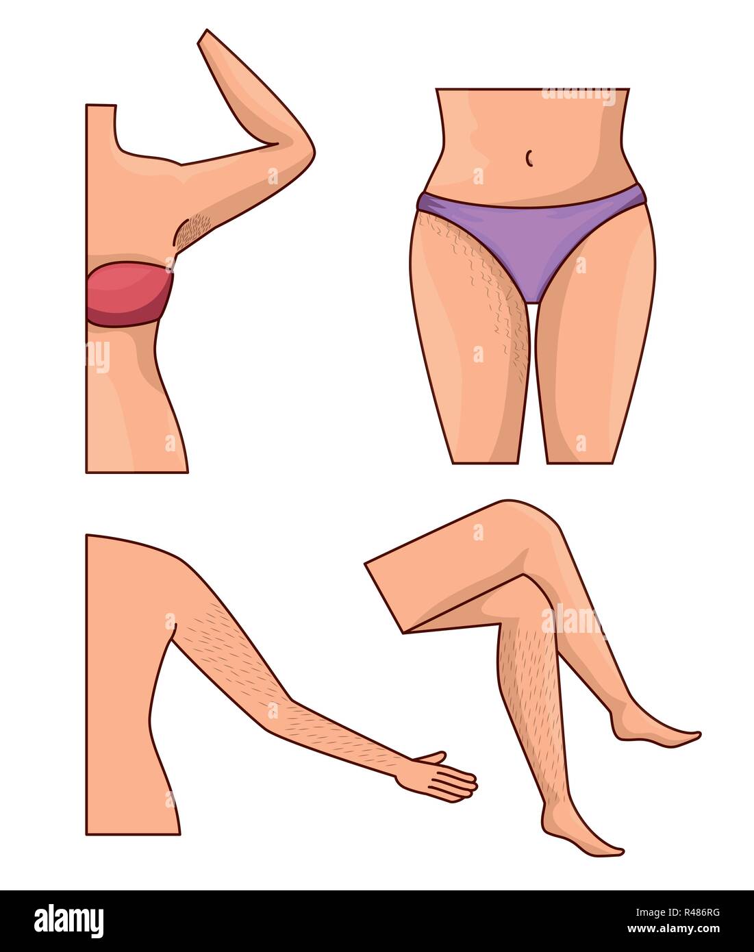Woman Body Parts With Hair Removal Icons Vector Illustration Design Stock Vector Image Art Alamy
