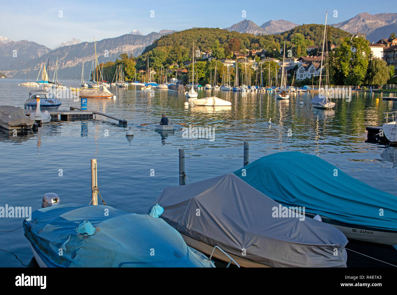 View over Lake Thun at Spiez Stock Photo