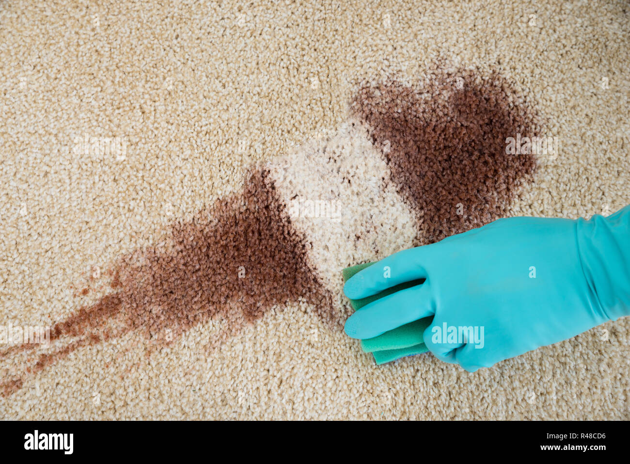Hand Cleaning Red Wine Fallen On Rug Stock Photo Alamy
