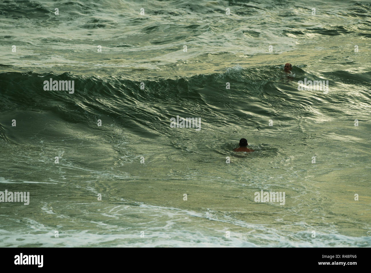 Open water swimmers hi-res stock photography and images - Alamy