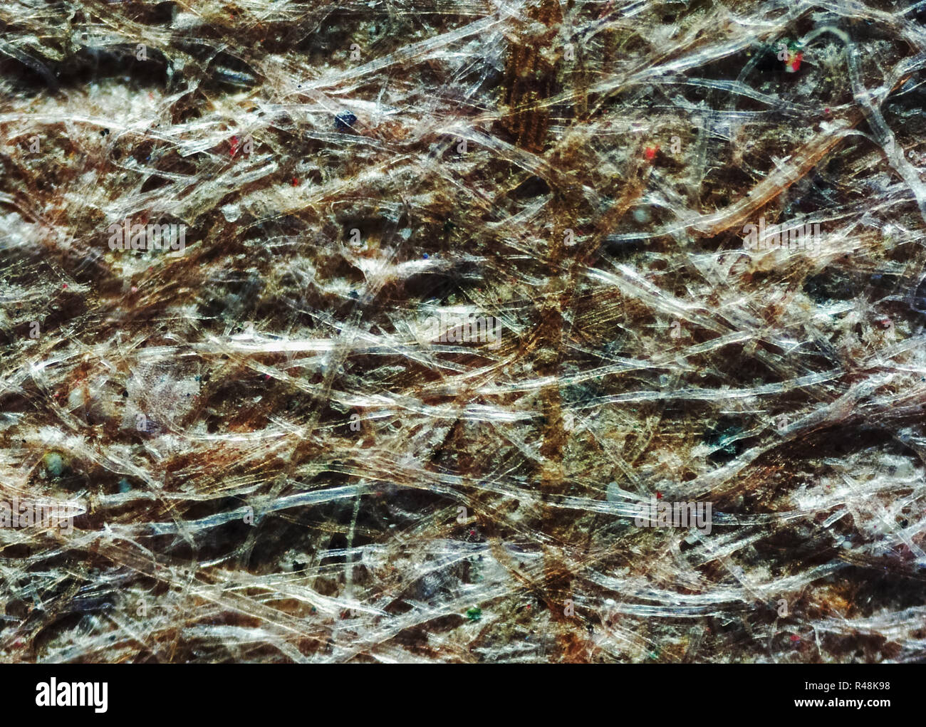 Paper fibers micrograph hires stock photography and images Alamy