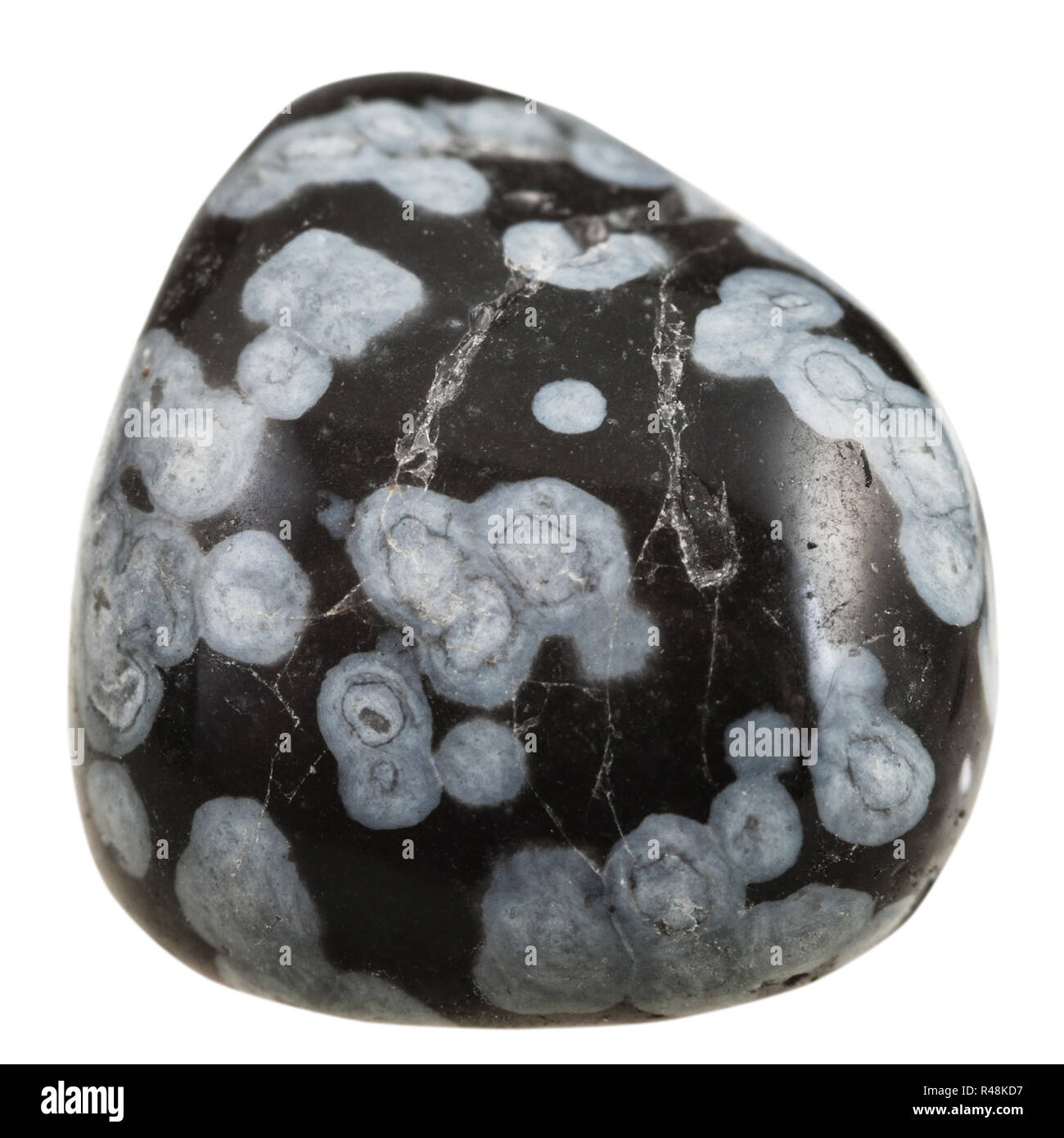 Polished Snowflake Obsidian Mineral Gemstone Stock Photo Alamy