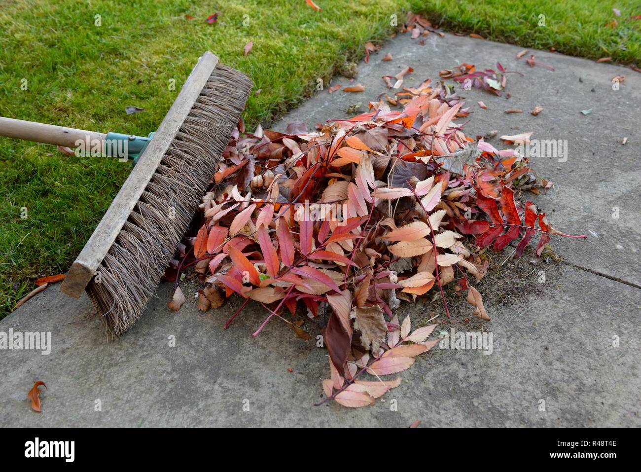 Conceptual image of Autumn leaves and a brush on a garden path Stock Photo