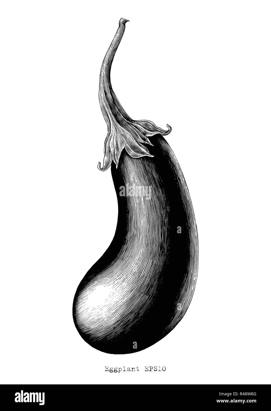 Eggplant hand drawing vintage engraving illustration on white background Stock Vector