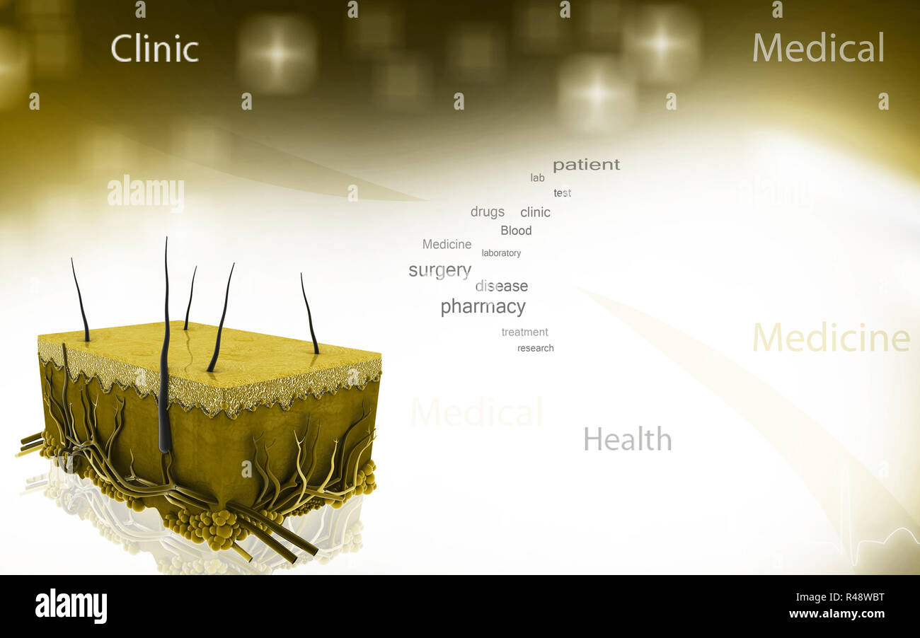 Human Skin Cells 3d High Resolution Stock Photography and Images - Alamy
