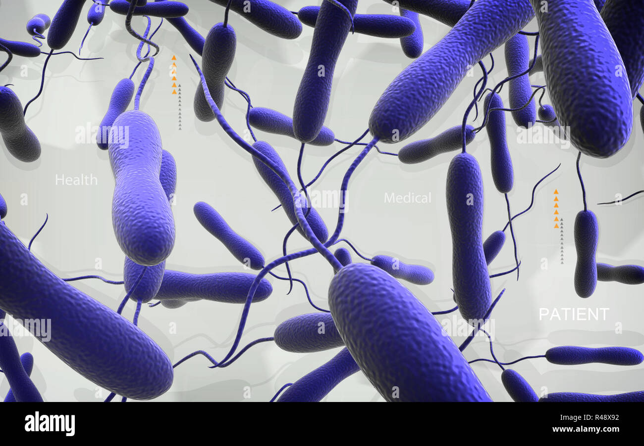 Cholera bacteria Stock Photo