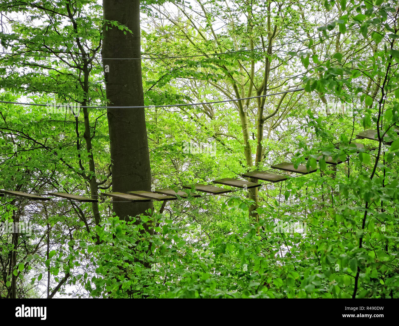Tall Ropes Course China Rope ladder in tall tree hi-res stock photography and images - Alamy