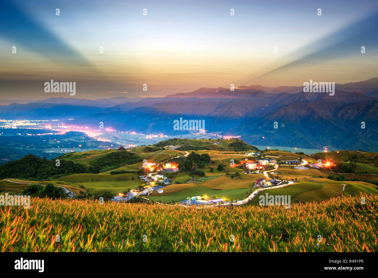 Hualien taiwan lily hi-res stock photography and images - Alamy