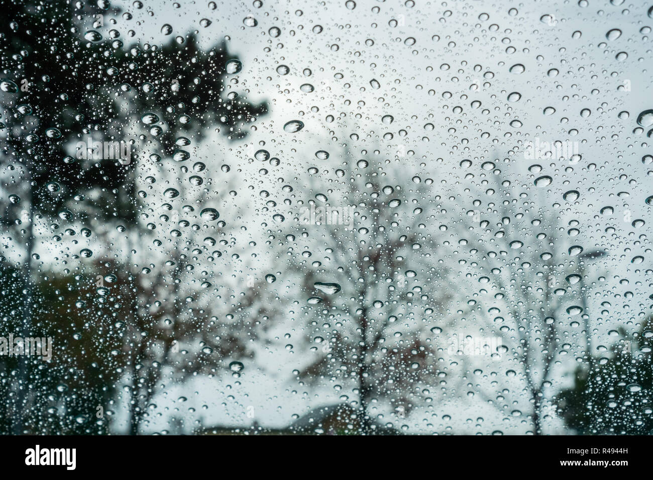 Drops of rain on the window; blurred trees in the background Stock Photo