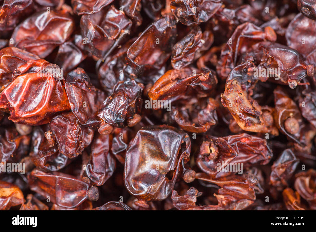 dried red berberis fruits close up Stock Photo