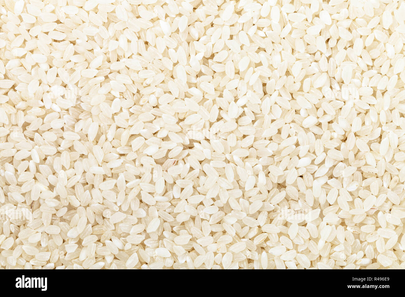 Kuban Rice Shortgrain hi-res stock photography and images - Alamy