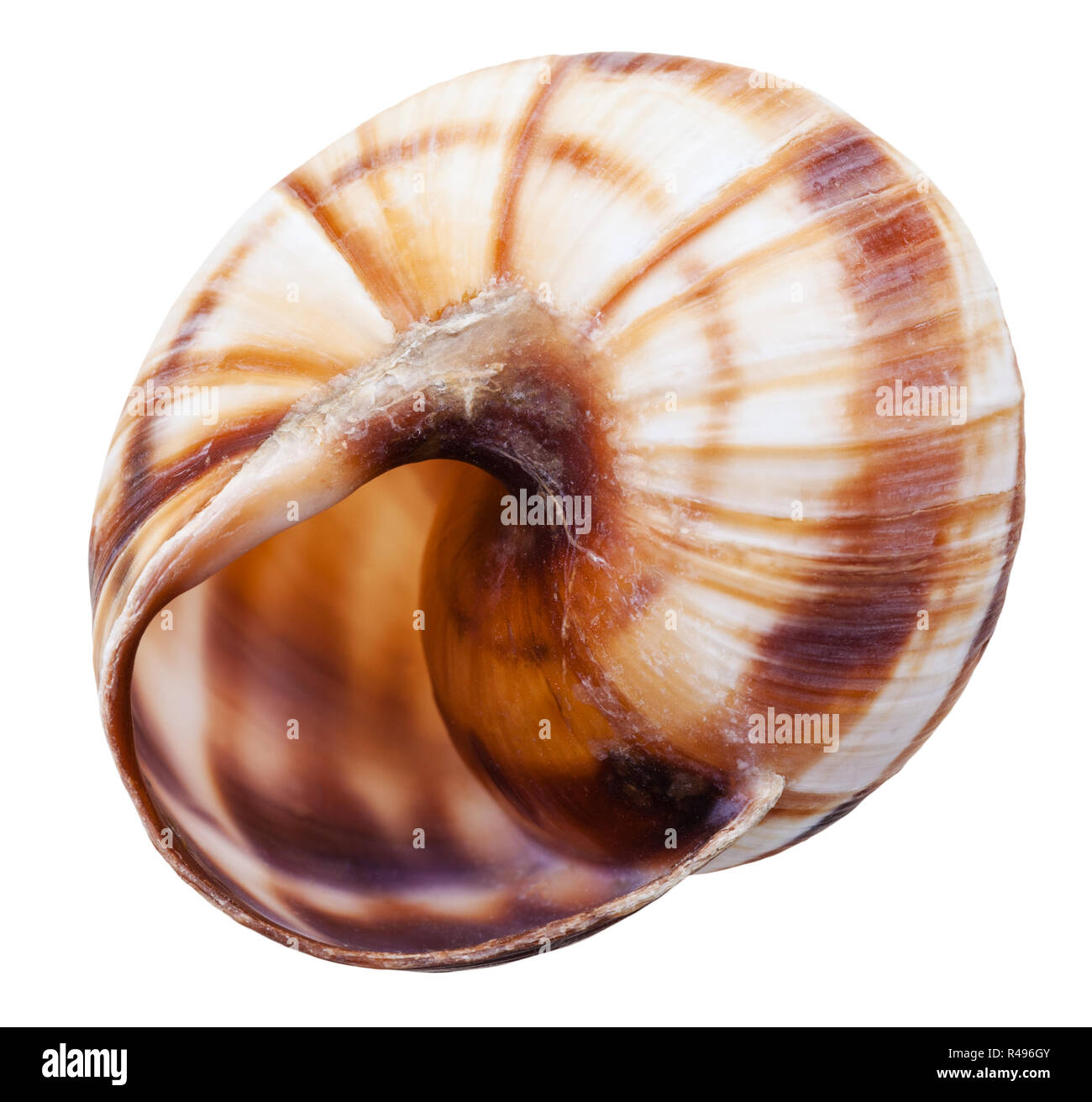 Land empty Cut Out Stock Images Pictures Alamy