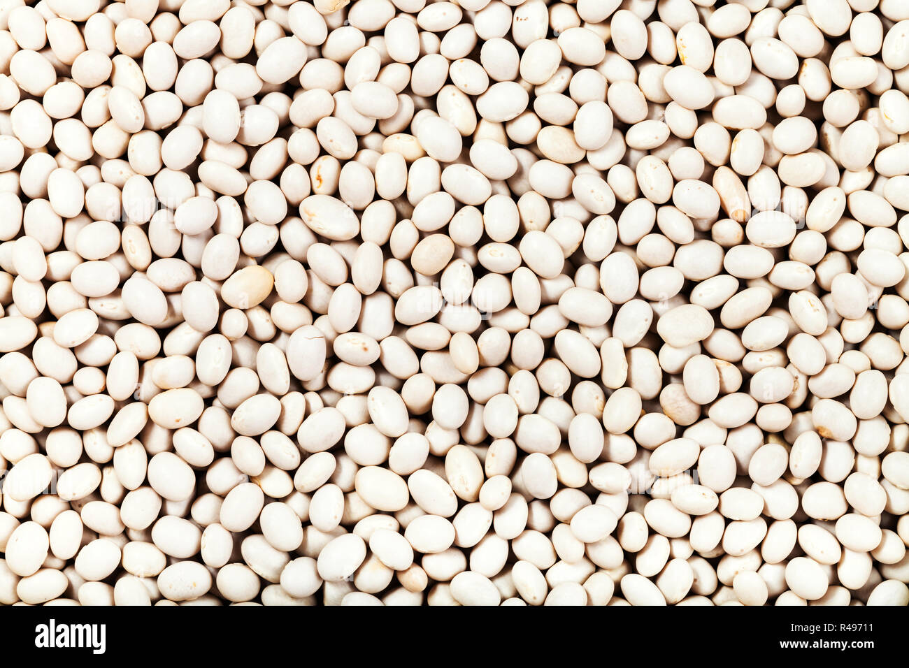 many raw white haricot beans Stock Photo Alamy