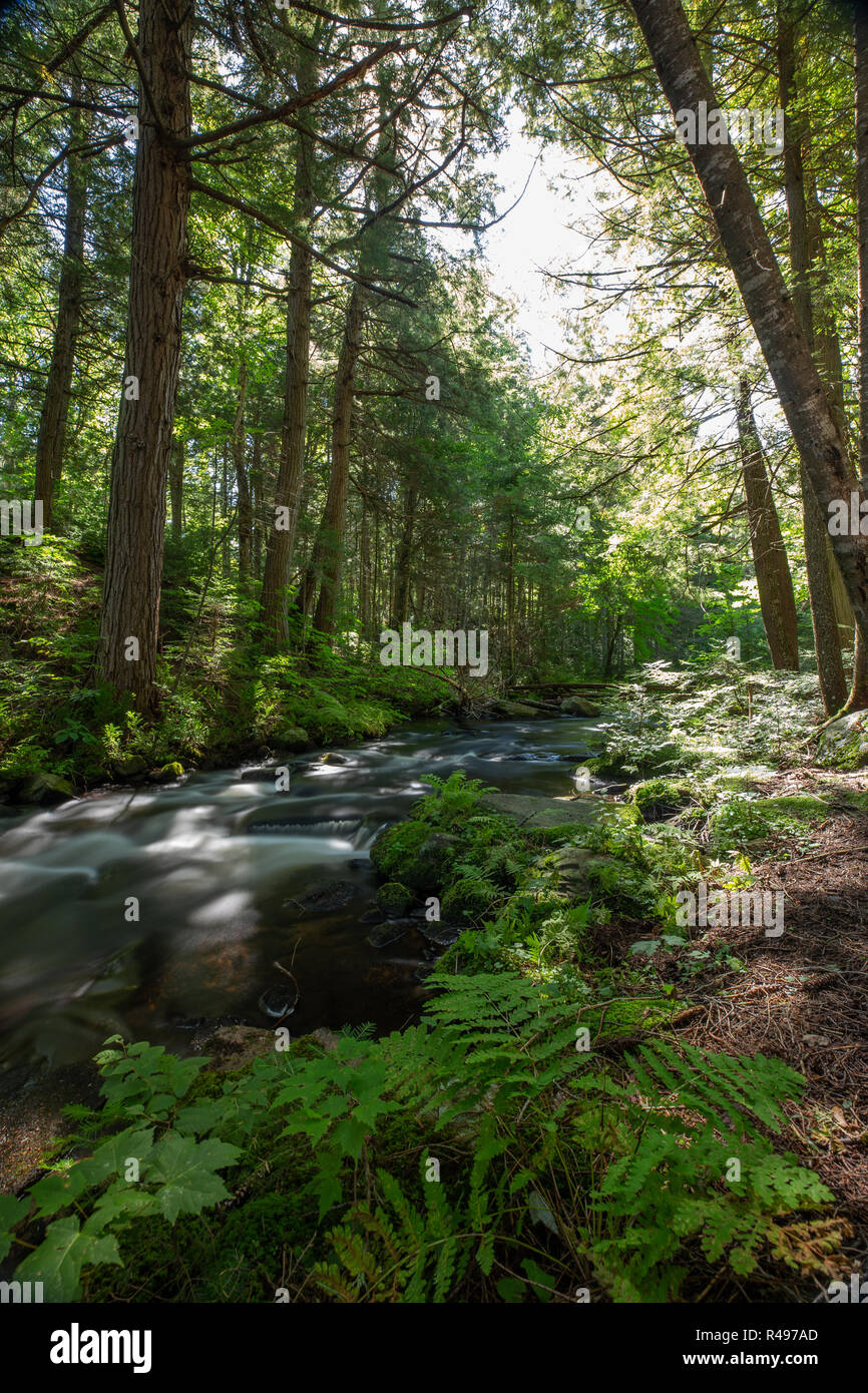 Mcintosh creek hires stock photography and images Alamy