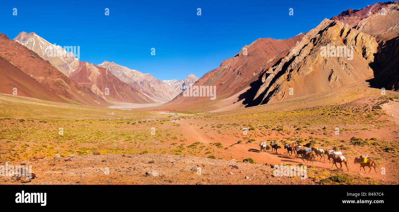 Panoramic view of mountain valley in the Andes with hikers trekking, Argentina, South America Stock Photo