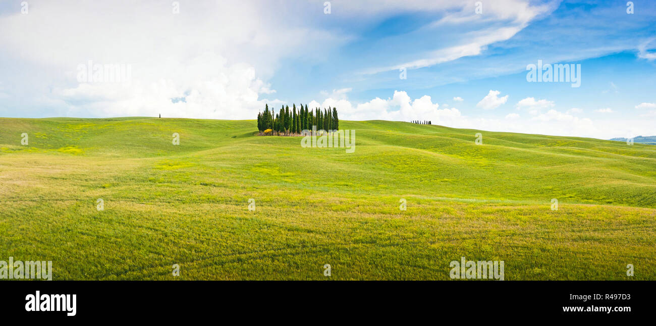 Panoramic view of scenic Tuscany landscape in Val d'Orcia, Italy Stock Photo
