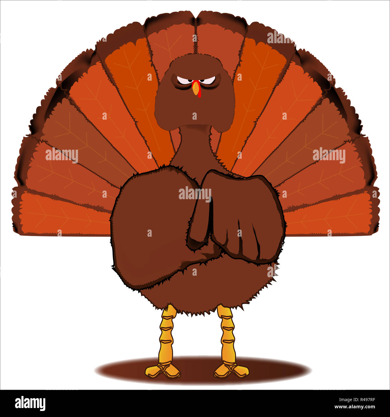 Angry turkey bird hi-res stock photography and images - Alamy