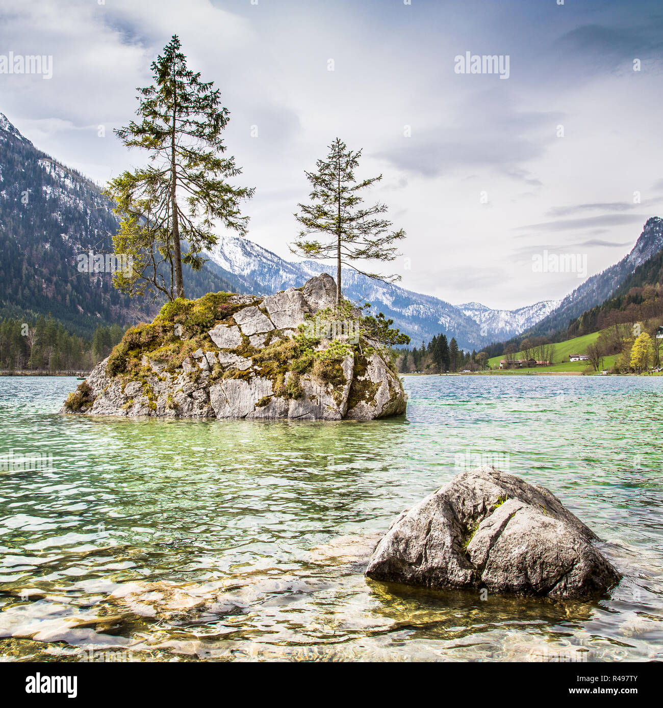 Idyllic landscape with trees on a rock at lake Hintersee, Nationalpark Berchtesgadener Land, Bavaria, Germany Stock Photo