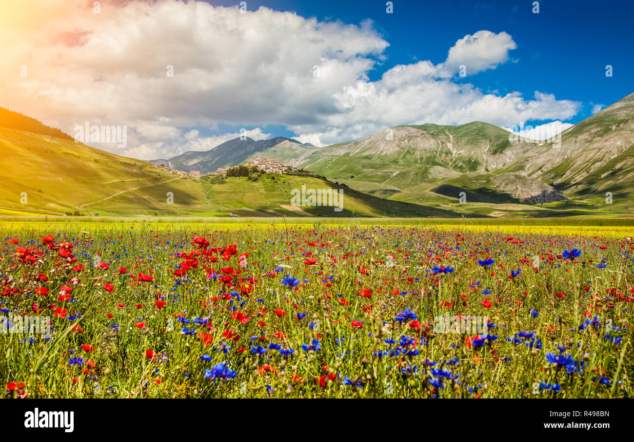 Beautiful summer landscape at Piano Grande (Great Plain) mountain plateau  in the Apennine Mountains, Castelluccio di Norcia, Umbria, Italy Stock  Photo - Alamy