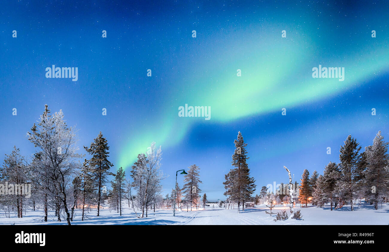 Panoramic view of amazing Aurora Borealis northern lights over beautiful winter wonderland scenery with trees and snow on a scenic cold night in Scand Stock Photo