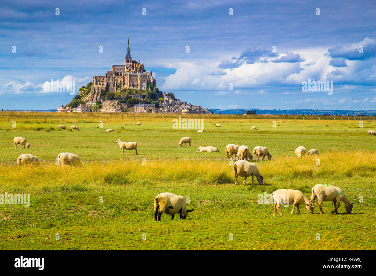 Famous Le Mont Saint-Michel tidal island with sheep grazing on fields of fresh green grass on a sunny day with blue sky and clouds, Normandy, France Stock Photo