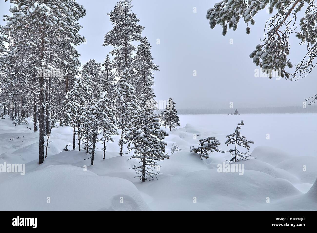 Winter Snowy Landscape Stock Photo - Alamy